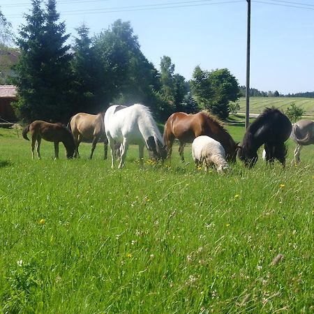 Landgasthof Zum Schwanen Hornberg Luaran gambar