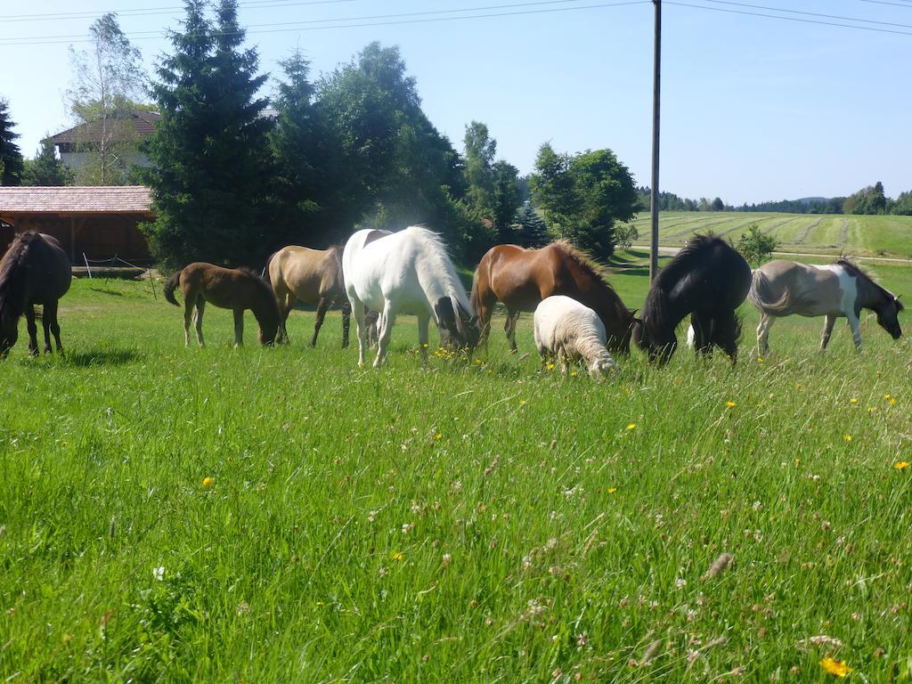 Landgasthof Zum Schwanen Hornberg Luaran gambar