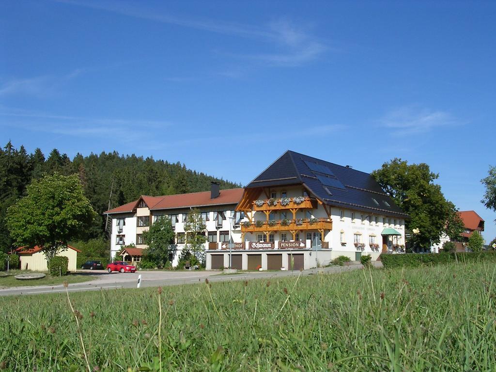 Landgasthof Zum Schwanen Hornberg Luaran gambar