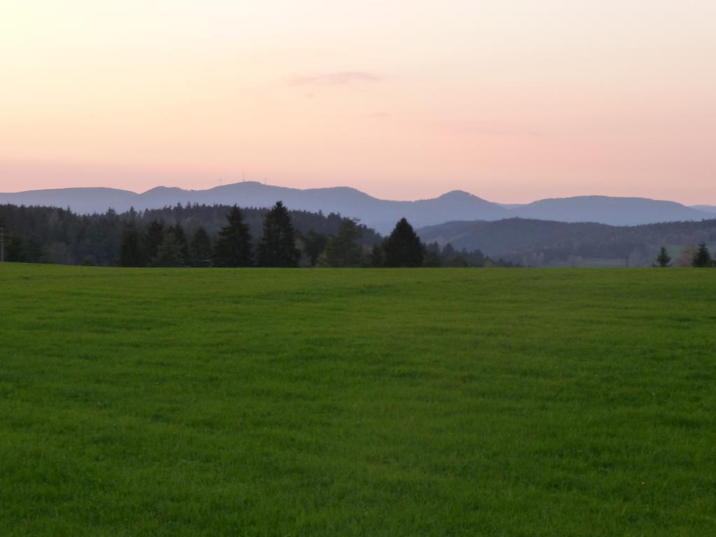 Landgasthof Zum Schwanen Hornberg Luaran gambar