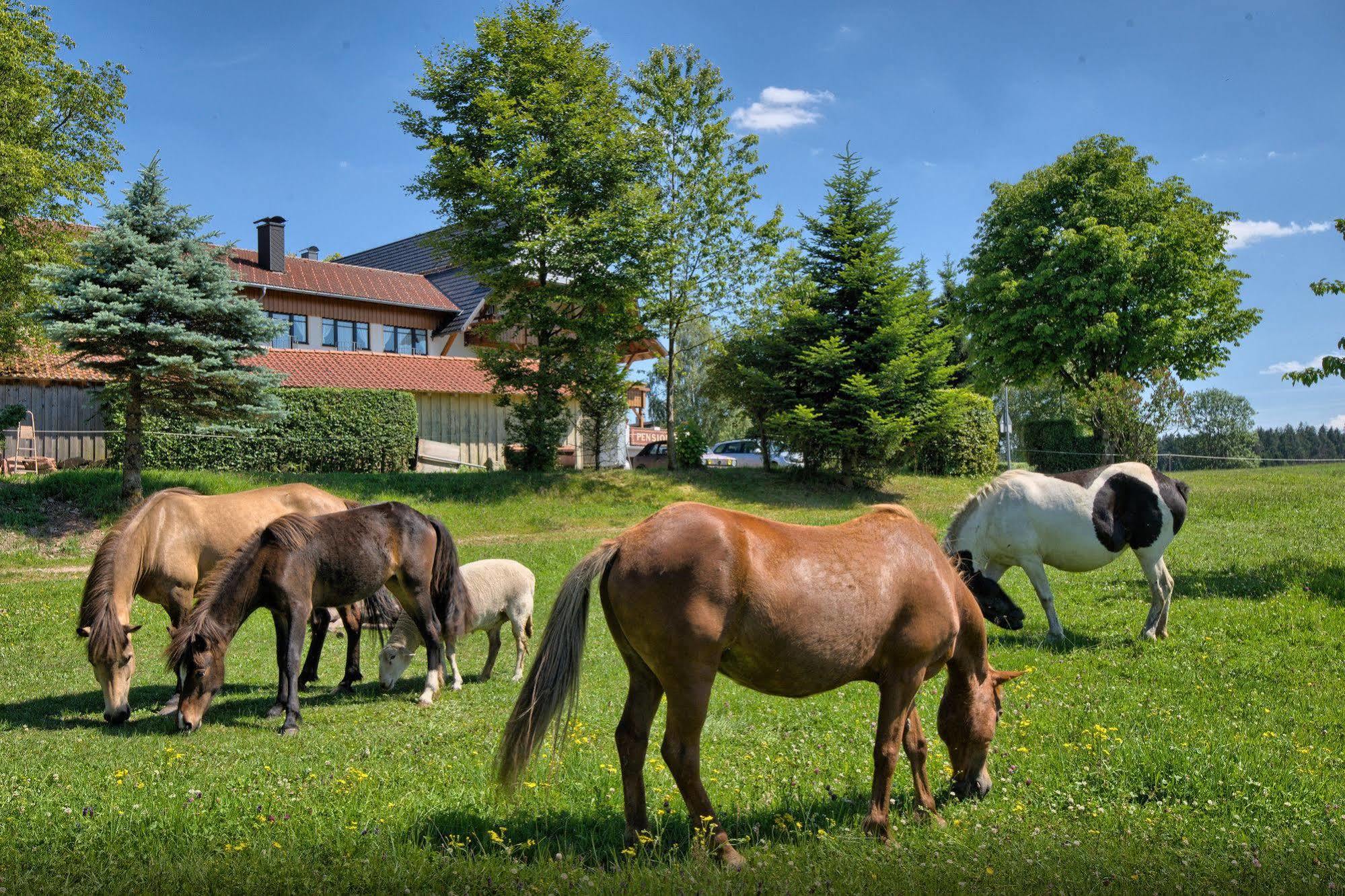 Landgasthof Zum Schwanen Hornberg Luaran gambar